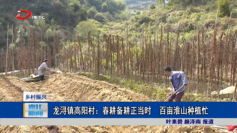 龙浔镇高阳村：春耕备耕正当时 百亩淮山种植忙 - 憨鼠网