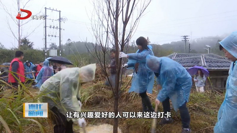 桂阳乡：共植银杏红枫 绘乡村多彩新景 - 憨鼠网