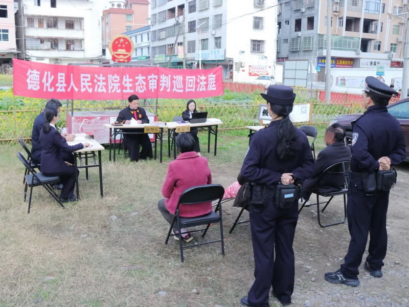 德化法院田间“开庭”，盗伐林木三人获刑 - 憨鼠网