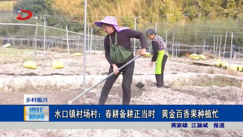 水口镇村场村：春耕备耕正当时 黄金百香果种植忙 - 憨鼠网