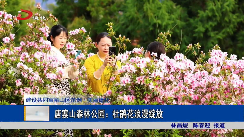 唐寨山森林公园：杜鹃花浪漫绽放 - 憨鼠网