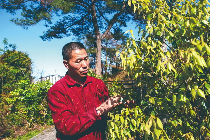 德化县中医院百草园：打造中医药文化的“活态课堂” - 憨鼠网