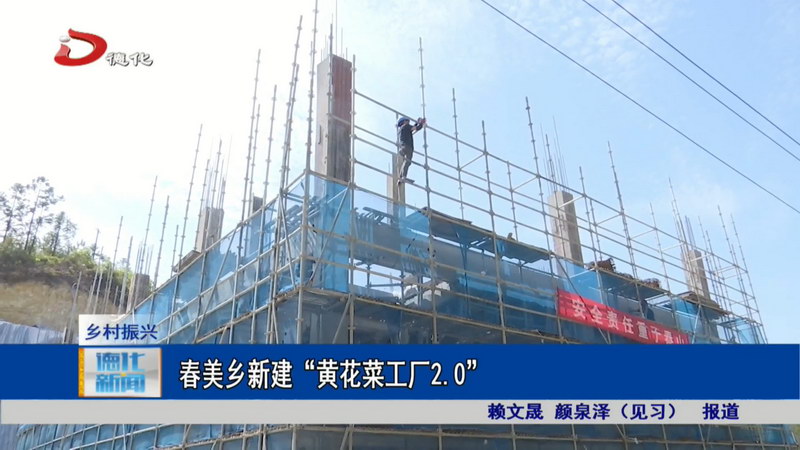 春美乡新建“黄花菜工厂2.0” - 憨鼠网