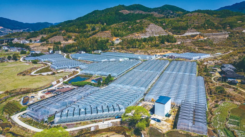 德化400 亩基地用数字技术种出 “智慧果实” - 憨鼠网