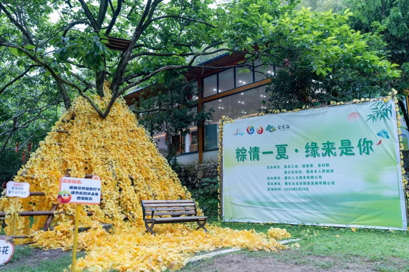 “粽情一夏·缘来是你”2025年德化县青年人才联谊活动圆满举办 - 憨鼠网