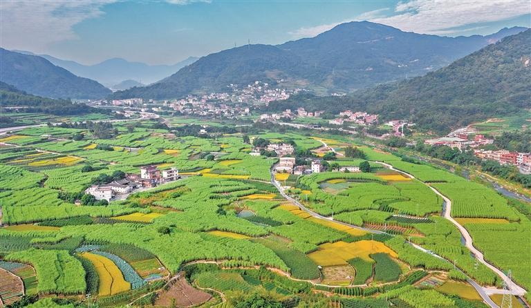 一县一溪一特色 田园风光美起来 我市第二批建设项目名单公布 - 憨鼠网
