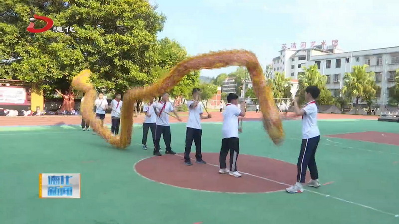 龙浔中心小学：以武为笔 绘就特色办学新画卷 - 憨鼠网