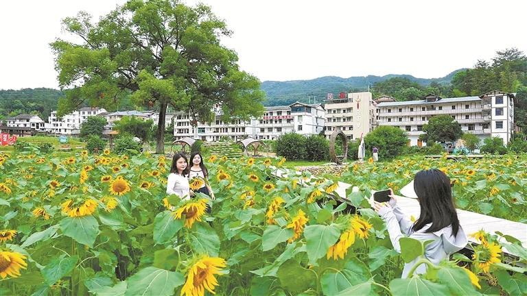 德化县南埕镇南埕村全面推进乡村振兴——绘出乡村底色的和美画卷 - 憨鼠网