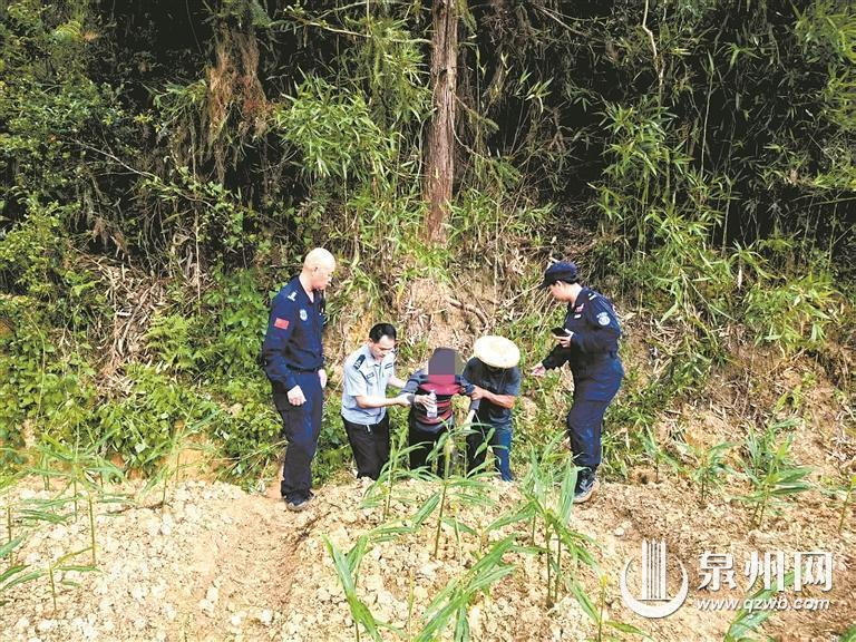 老人深山迷路 多方联手寻回 - 憨鼠网