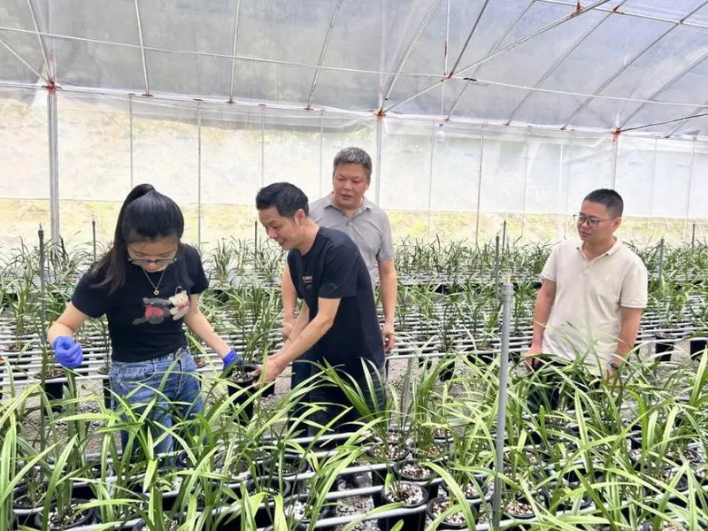 南埕镇三向发力 以人才引擎驱动“兰香经济”发展 - 憨鼠网