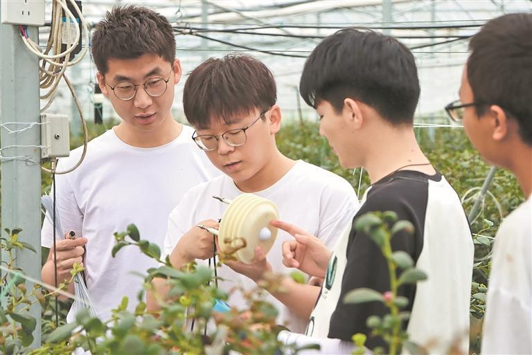 智慧农业为乡村发展注入“数字基因” - 憨鼠网