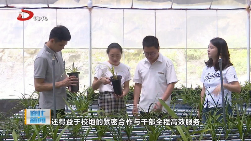 南埕镇：校地携手育兰香 作风筑基促共富 - 憨鼠网