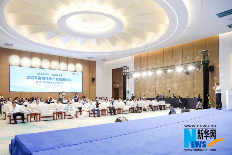 2025县域特色产业发展论坛暨《300秒看家乡》研讨会，德化产业经验分享太吸睛 - 憨鼠网