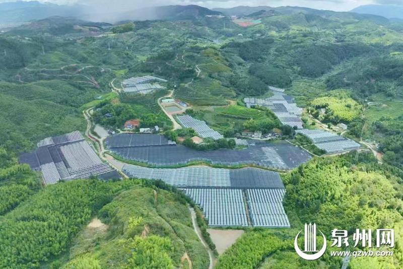 德化三班奎斗盘活闲置资产 发展农文旅产业 - 憨鼠网