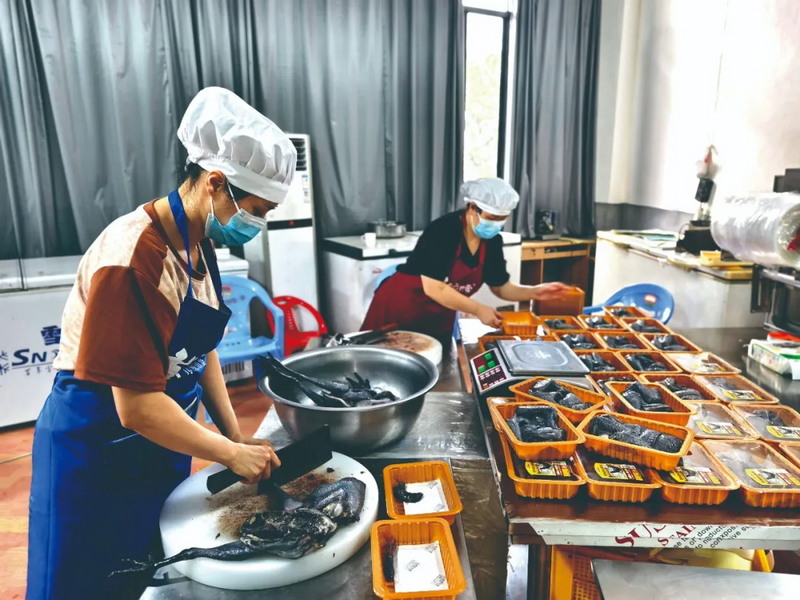 德化黑鸡的 “逆袭之路” - 憨鼠网