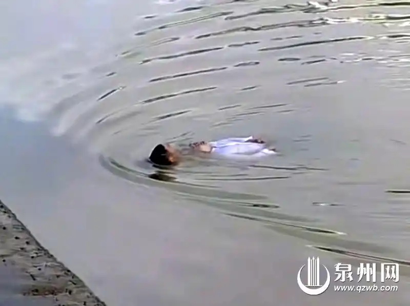 德化云龙桥附近有人落水 游泳馆救生员教科书式救人 - 憨鼠网