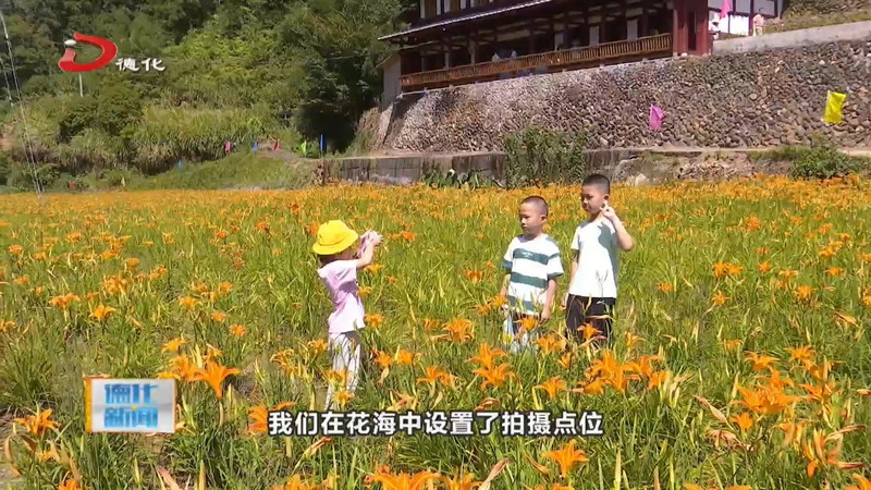 春美乡忘忧花海迎来最佳观赏期 赏花正当时 - 憨鼠网
