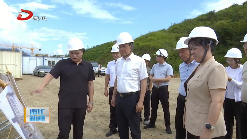 县长吴志朴调研重点项目建设工作 - 憨鼠网