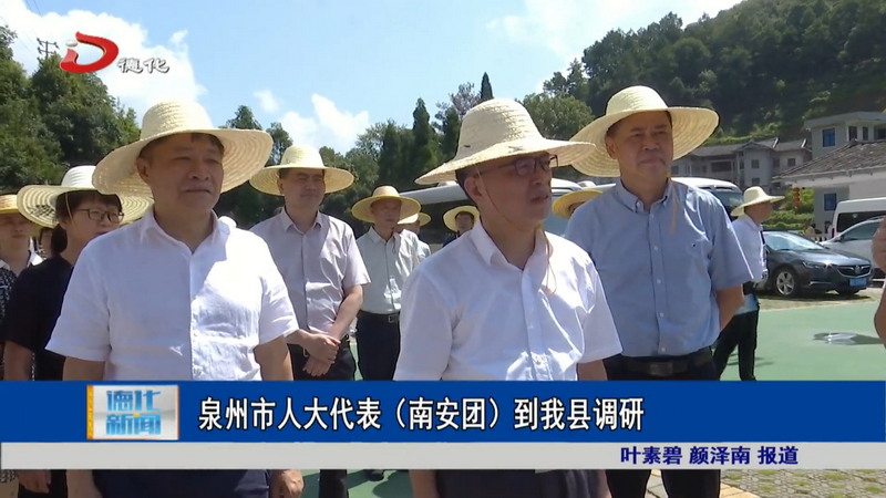 泉州市人大代表（南安团）到我县调研 - 憨鼠网