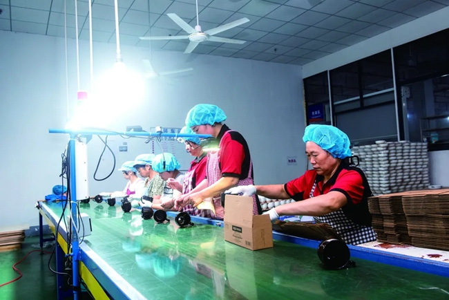 成为企业的“栖凤良枝”,德化这样推动陶瓷产业集群突围进阶 - 憨鼠网