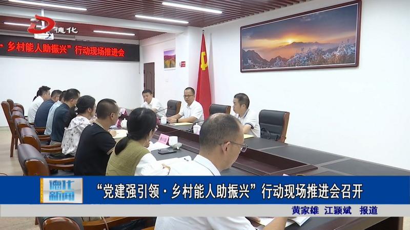 “党建强引领·乡村能人助振兴”行动现场推进会召开 - 憨鼠网