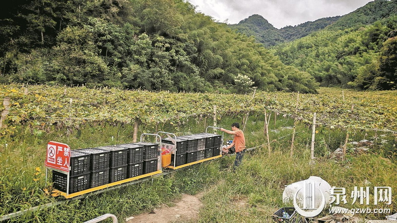 田间引入“小火车”、无人机 科技助力农业丰产增收 - 憨鼠网