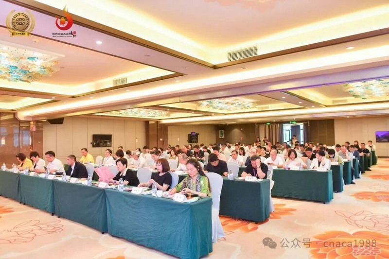凝聚共识,共创未来:中国特色世界手工艺城市品牌建设分享会在德化成功举办 - 憨鼠网