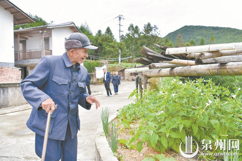 作息规律 心安如水 102岁老人读书看报不费力 - 憨鼠网