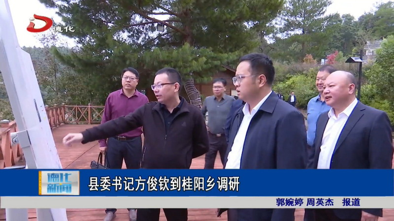 县委书记方俊钦到桂阳乡调研 - 憨鼠网