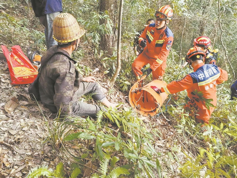 上山砍树，工人被山石砸伤 消防成功救援 伤者被及时送医 - 憨鼠网