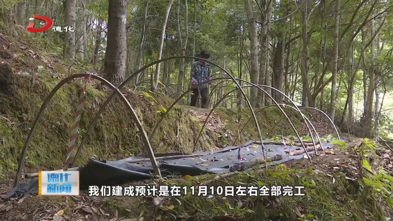 桂阳乡彭坑村产业振兴示范村项目建设进入尾声 预计11月中旬可完工 - 憨鼠网