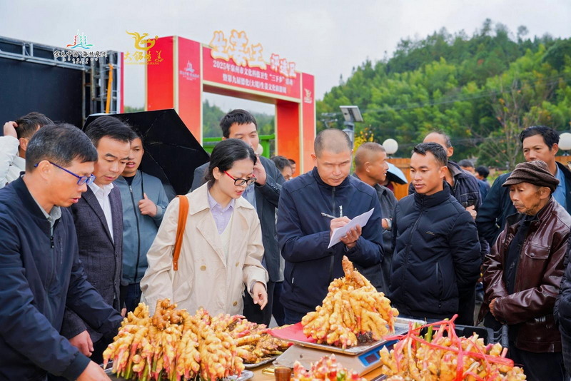 以“姜”为媒　赋能乡村振兴 泉州市文化科技卫生“三下乡”暨第九届德化（大铭）生姜文化旅游周启幕 - 憨鼠网