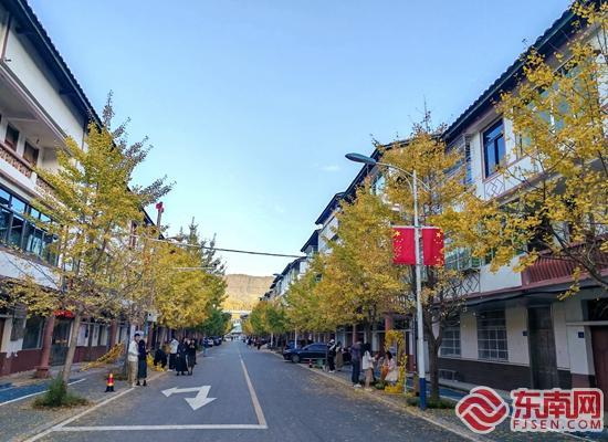 德化：银杏灿若金 秋意引客来 - 憨鼠网
