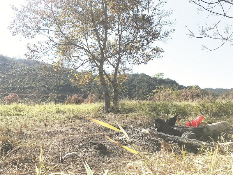 垃圾遍地、违规用火、涉险游玩——遭“野蛮打卡” 网红“野景区”隐患重重 - 憨鼠网