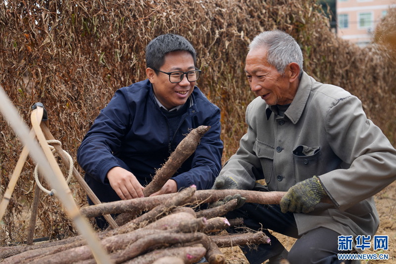 福建德化英山村：“金融活水”助力淮山产业振兴 - 憨鼠网