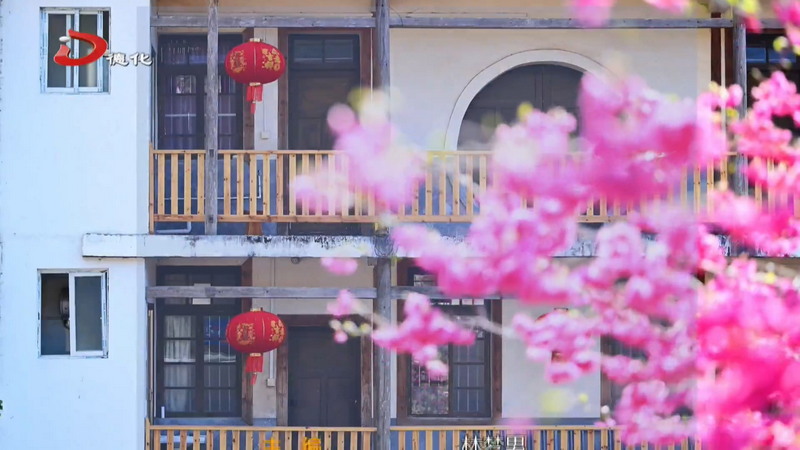 雷峰镇潘祠村：春意盎然 樱花浪漫盛开 - 憨鼠网