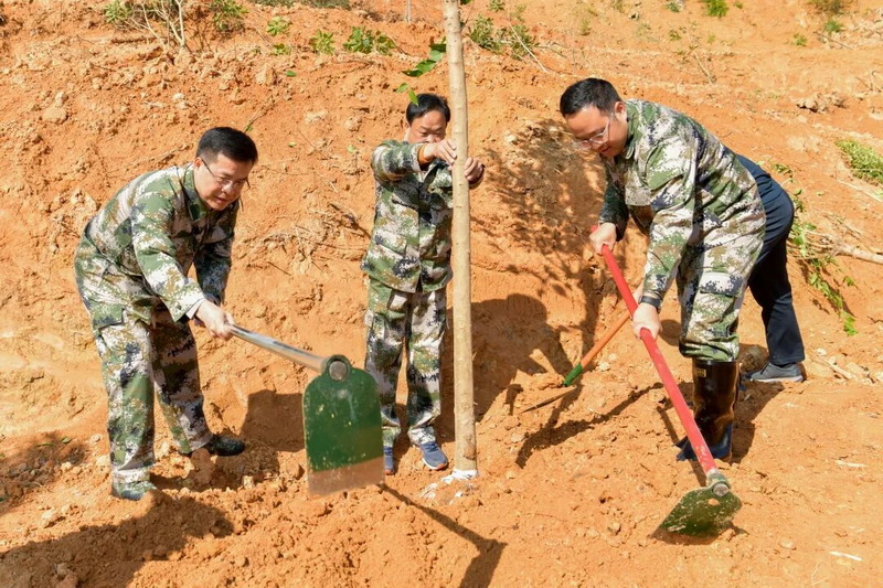 共植新绿 不负春光 县领导与干部群众义务植树 - 憨鼠网