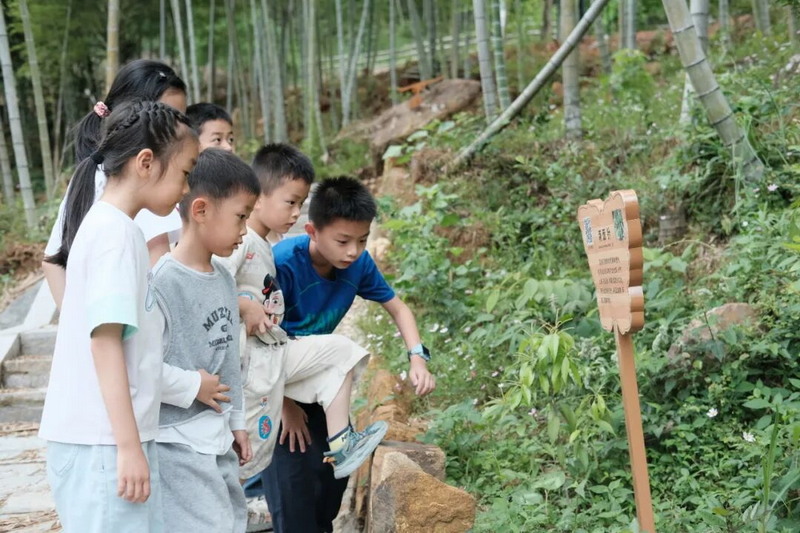 雷峰镇：特色产业选准赛道 高端文旅温泉破题 - 憨鼠网