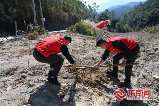 德化水口镇开展“党建聚力播新绿·文明同心护生态”义务植树活动 - 憨鼠网