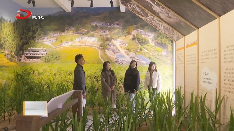 大铭乡：“姜”文旅融合进行到底 打造沉浸式生姜文化研学基地 - 憨鼠网