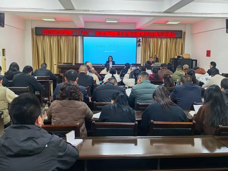龙浔镇推行“厂中厂”安全整治月制度 - 憨鼠网