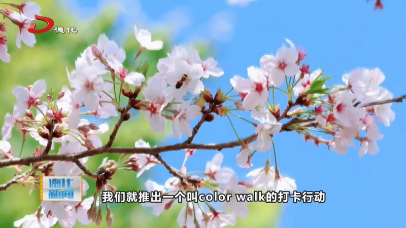 春风送暖花漫山 九仙山开启春日游园季 - 憨鼠网
