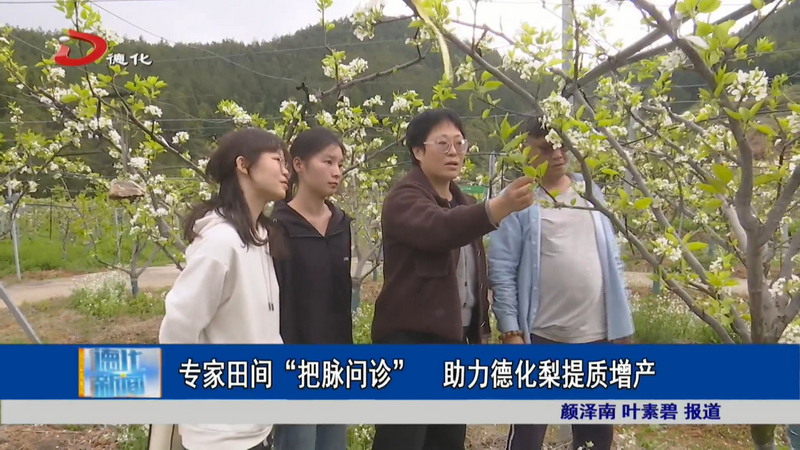 专家田间“把脉问诊” 助力德化梨提质增产 - 憨鼠网