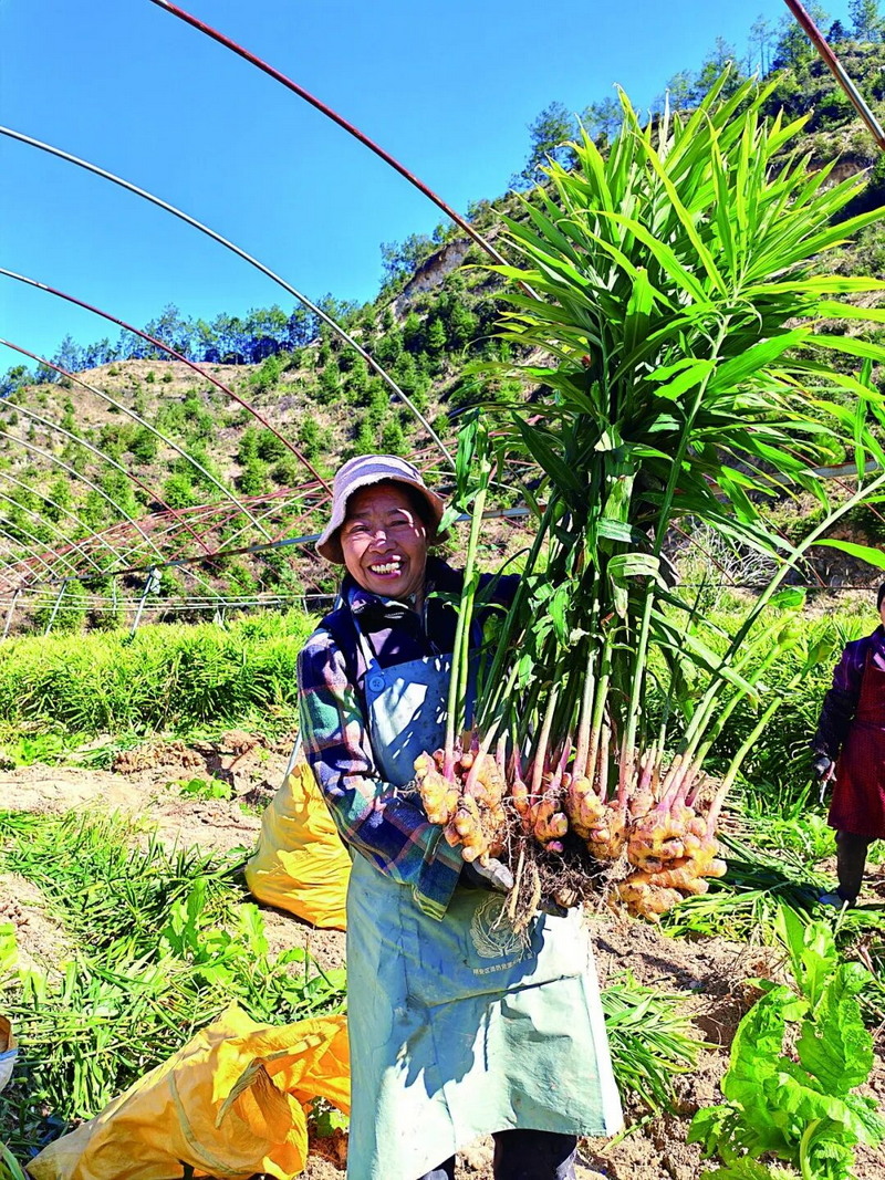 大铭乡：三向发力启新程 山区共富谱新篇 - 憨鼠网