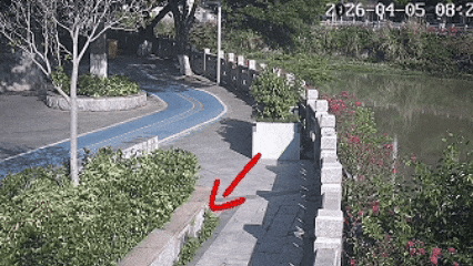 德化青年路溪边惊险一幕！他奋不顾身跳水救人 - 憨鼠网