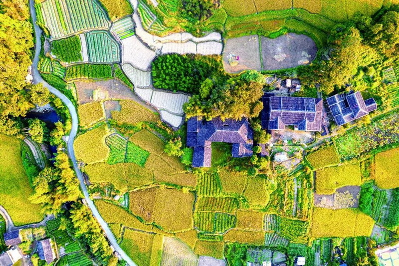 美湖镇：从“靠山吃山”到“养山富山”，三产齐兴绘就高质量发展新画卷 - 憨鼠网