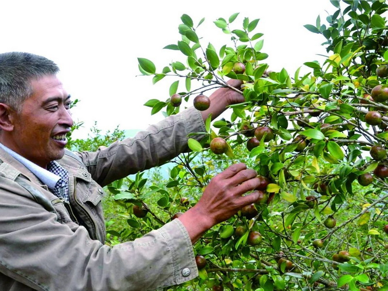 桂阳乡：实干兴乡启新程 共富山区绘华章 - 憨鼠网