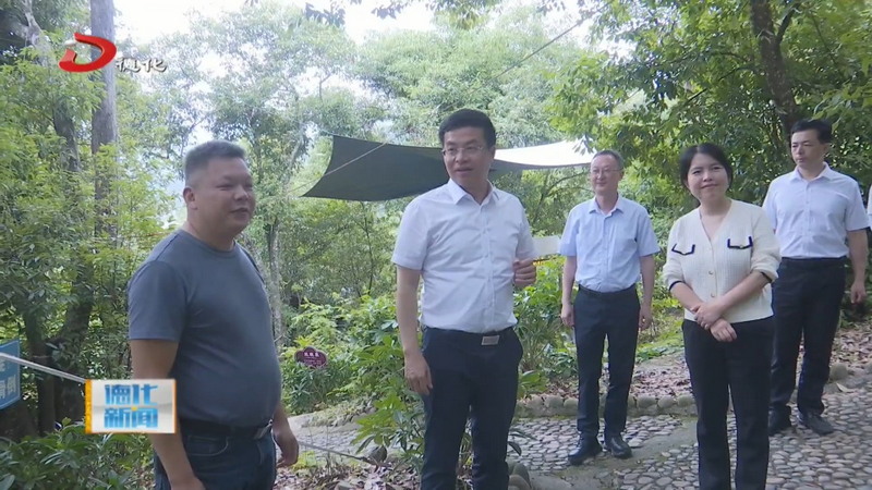 县长吴志朴到南埕镇调研 - 憨鼠网