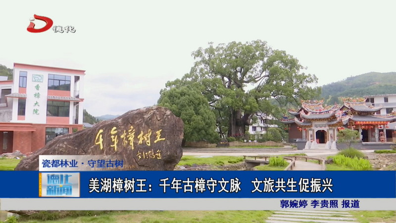美湖樟树王：千年古樟守文脉 文旅共生促振兴 - 憨鼠网
