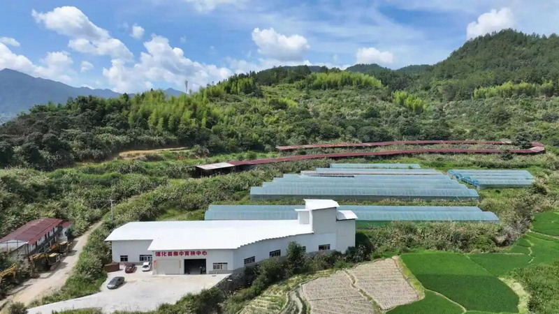 智能化育秧基地赋能粮食规模化种植 - 憨鼠网